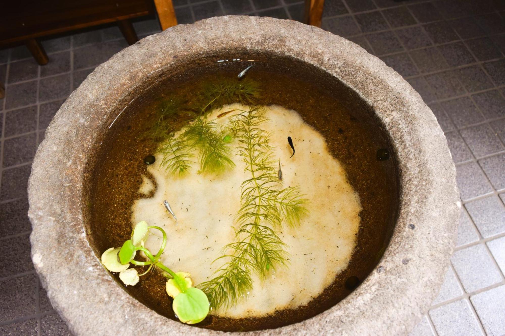 Atagoya Villa Takayama  Luaran gambar